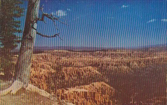 Panorama Of Bryce Canyon Nationa Park Utah