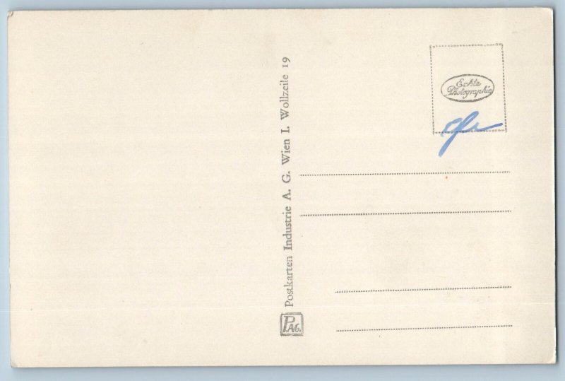 Carinthia Austria Postcard Aerial View of Maria Worth c1930's RPPC Photo