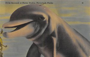 Marine Studios Meet Mister Porpoise Marineland FL 