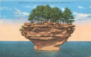 Postcard Port Huron Michigan Pointe Aux Barques Turnip Rock Linen 1939 Postmark