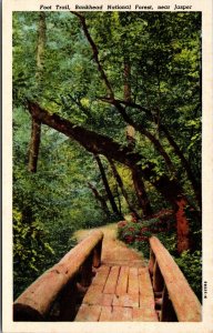 Postcard Alabama Jasper Foot Trail Bankhead National Forest Curt Teich 1949 V187