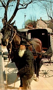 Ohio Amish Country Amish Man Hitching His Horse and Wagon In Front Of General...