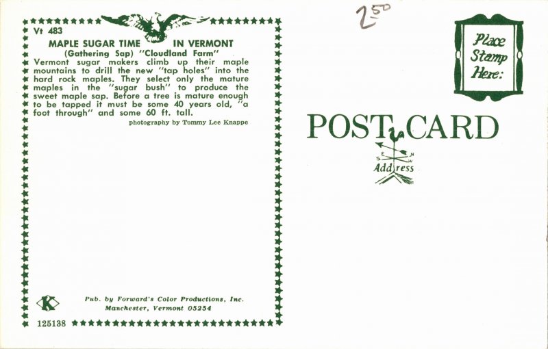 Maple Sugar Time in Vermont Chrome Postcard Y15