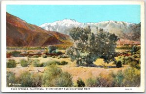 Palm Springs California CA, Desert, San Gorgonio Highest Mountain, Postcard