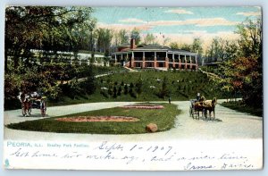 Peoria Illinois Postcard Bradley Park Pavilion Exterior c1907 Raphael Tuck Sons