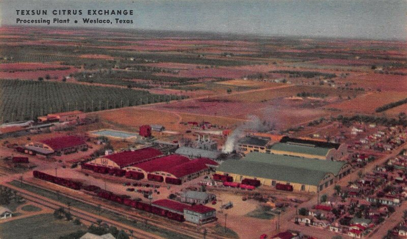 Processing Plant, Texsun Citrus Exchange, Weslaco, Texas, early postcard