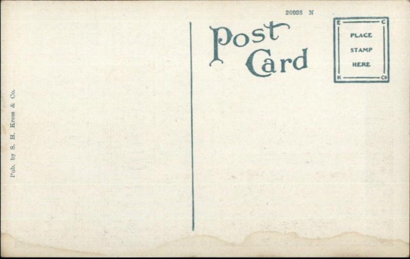 Jacksonville FL St. John's River Bridge c1920 Postcard