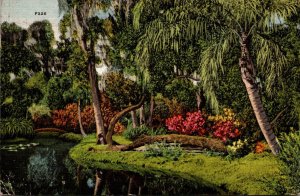 Fishing Cypress Gardens The Old Wishing Tree 1941