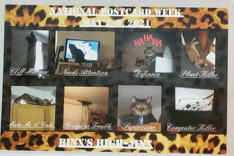 Postcard: Binx Hijinks-National PC Week, 2021, Jane Hepner #58/100