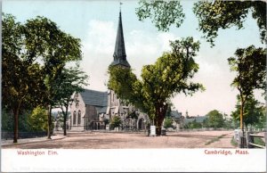 Postcard MA Cambridge - Washington Elm.