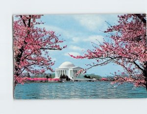 Postcard Jefferson Memorial, West Potomac Park, Washington, District of Columbia