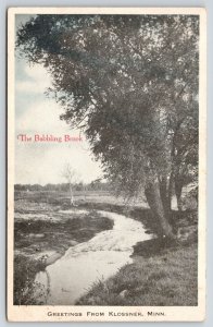 Klossner Minnesota~The Babbling Brook~Blue Sky B&W 1918 Cancel~Postcard