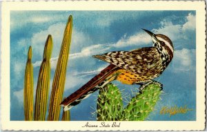 Arizona State Bird Cactus Wren by Ken Haag Vintage Postcard E48