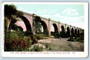 Riverside California Postcard Salt Lake Bridge Longest Bridge World 1905 Vintage