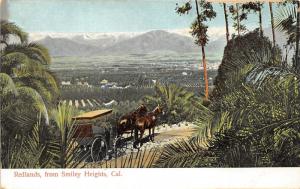 Redlands California & Farm Fields (from Smiley Heights)~Horse Carriage~1910 Pc