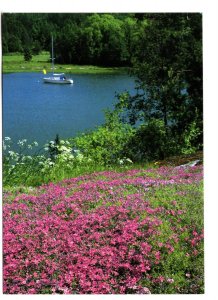 Country Scene with a Boat on a Lake and Wildflowers