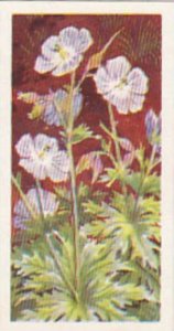 Brooke Bond Tea Trade Card Wild Flowers No 29 Meadow Cranesbill