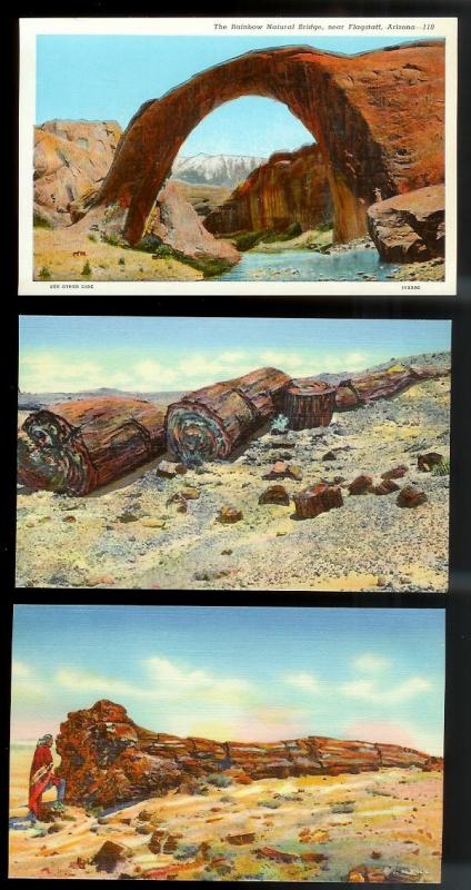 USA (31) Diff Western Scenery Yellowstone unused c1920-1940