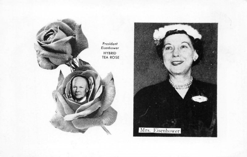 RPPC President Eisenhower Hybrid Tea Rose & First Lady c1950s Vintage Postcard