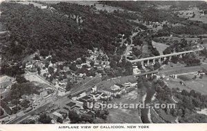 Airplane View - Callicoon, New York NY Postcard