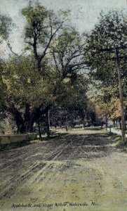 Appleton St. & Giant Willow in Waterville, Maine