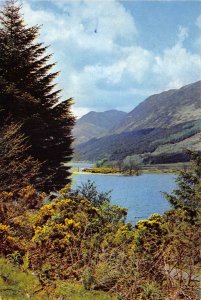 uk49919 gorse time and loch lochy inverness shire scotland uk