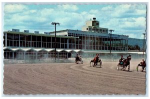 The Trotters At Hinsdale New Hampshire NH, Horse Riding Racing Vintage Postcard 