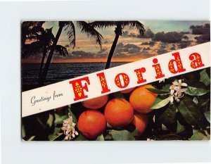 Postcard Greetings from Florida