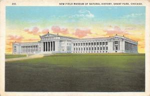 Chicago Illinois~Grant Park~New Field Museum of Natural History~1920s Postcard