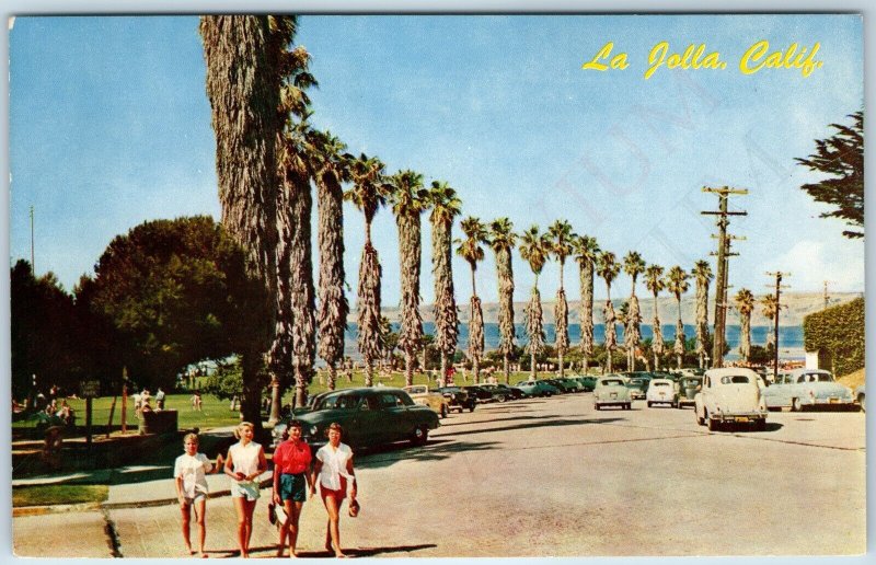 c1950s La Jolla, CA Park Crowd Women Girls Street Scene Cars Palm Beach Cal A216