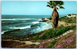 M-53977 Beautiful California Shoreline California