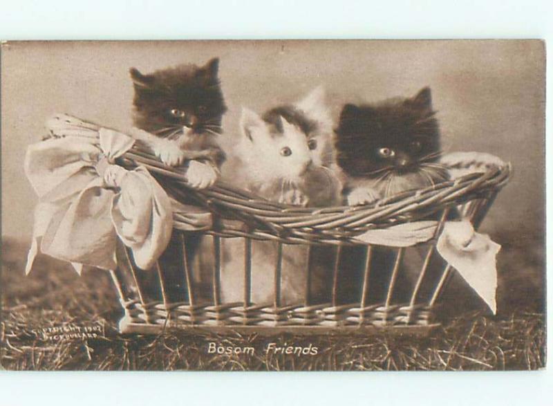 Pre-Linen CUTE KITTEN CAT IN THE BASKET AC5501