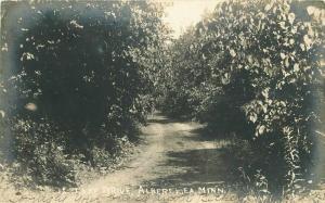 Albert Lea Minnesota 1905 RPPC Photo Postcard Lake Drive 1408