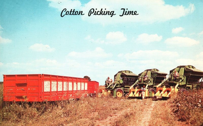 Vintage Postcard Greetings From Dixieland Modern Pickers Cotton Picking Time