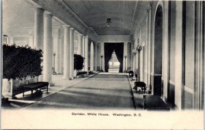1900s Corridor White House Washington D. C. Postcard