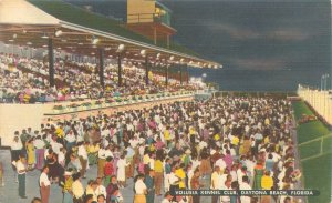 Daytona Beach Florida Volusia County Kennel Club Races Linen Postcard Unused
