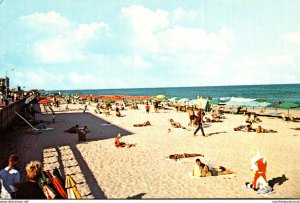 Maryland Ocean City Beach and Sunbathers