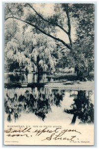 1906 View On Fulton Avenue Trees And Lake Hempstead New York NY Posted Postcard