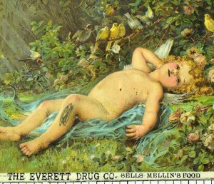 1870's-80's Lovely Cherub Garden Scene Birds Mellin's Food Victorian Card F78