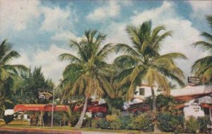 Florida Miami Beach The Olney Inn
