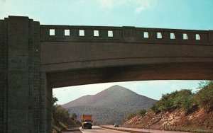 Vintage Postcard Pennsylvania Turnpike Gobbler's Nob Seen Thru Overpass PA