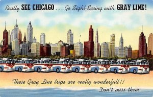 Gray Line Sight Seeing Chicago, Illinois, USA Unused 