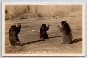 RPPC The Three Bears At Indian Head NH Real Photo Postcard U25