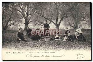 Old Postcard picking violets Cote d & # 39Azur