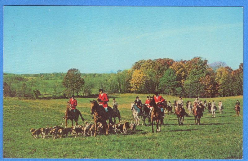 RIDING WITH THE HOUNDS IN THE VIRGINIA HUNT CLUNTRY 1975  (226)