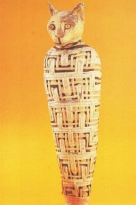 Egyptian Mummy Of A Cat Roman Period Mummified Cats Postcard