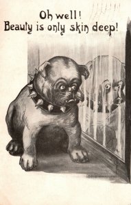 ?Vintage Postcard 1911 Oh Well! Beauty Is Only Skin Deep! Dog Animal Comics