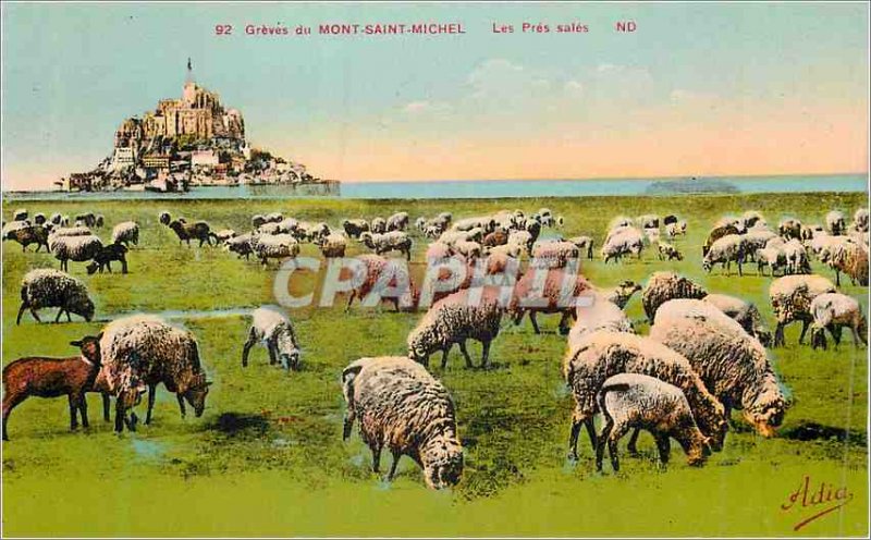 Old Postcard 92 strikes Mont Saint Michel dirty near Sheep