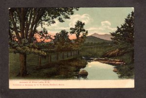 NH Souvenir of Silver Lake Madison New Hampshire Vintage Postcard UDB