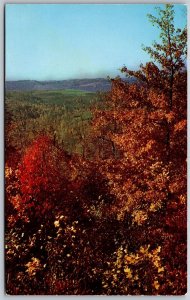 Vtg Greetings from Flint Michigan MI Autumn Scence 1950s View Postcard